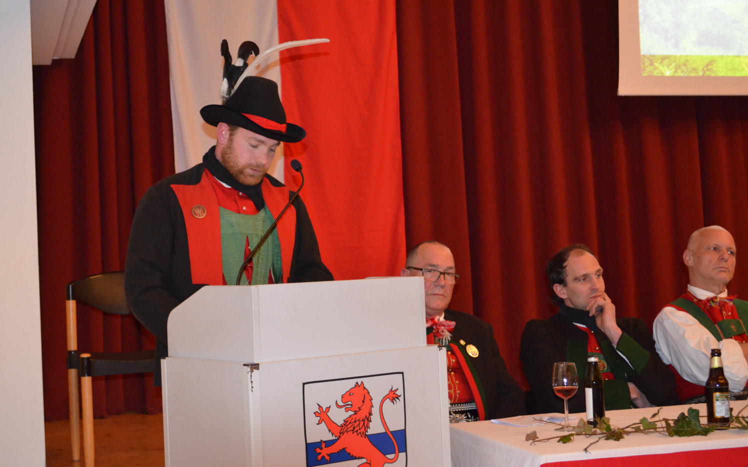 2015_Bezirkstag_Marling_ (192)