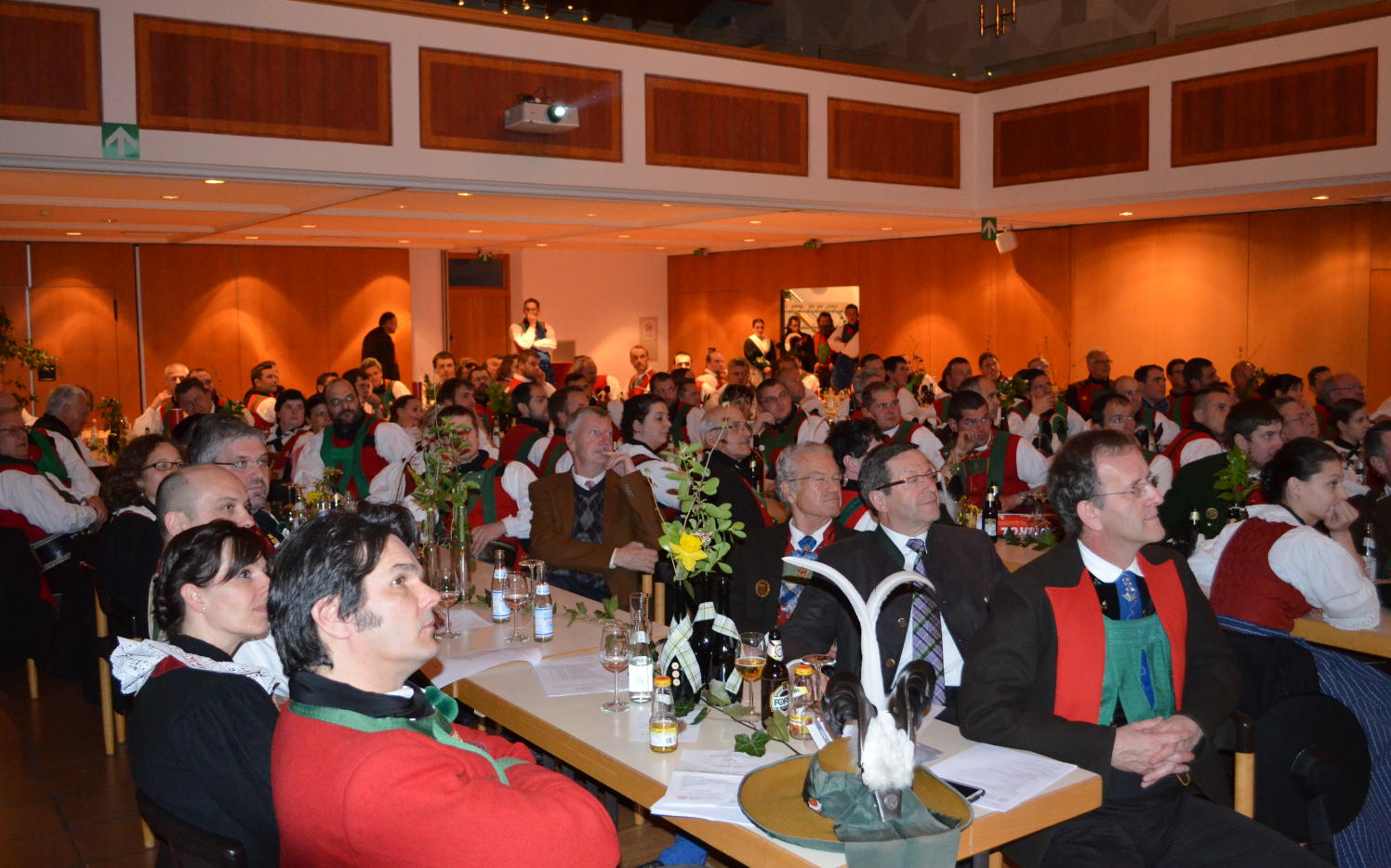 2015_Bezirkstag_Marling_ (218)