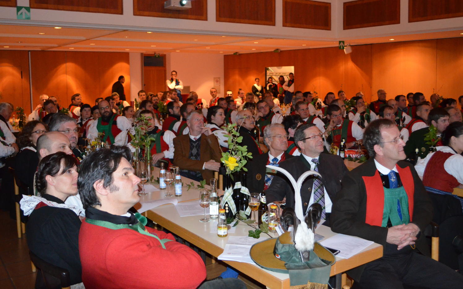 2015_Bezirkstag_Marling_ 1