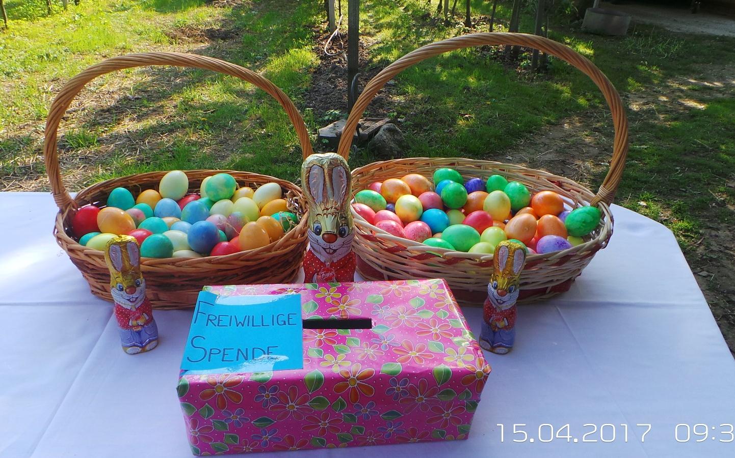2017_Burgstall_Ostereier Wettsuche Jungschützen Burgstall (4)